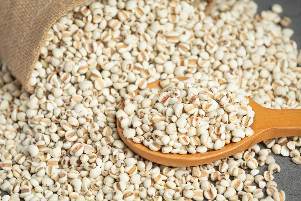Barley: A Versatile Grain with Many Uses