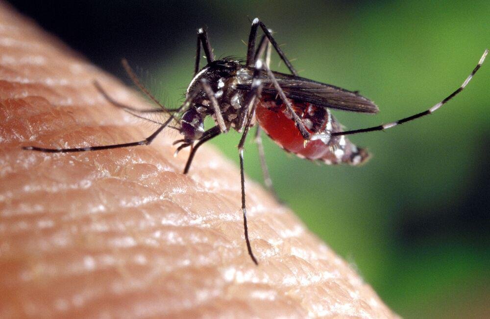 A complete details of dengue fever