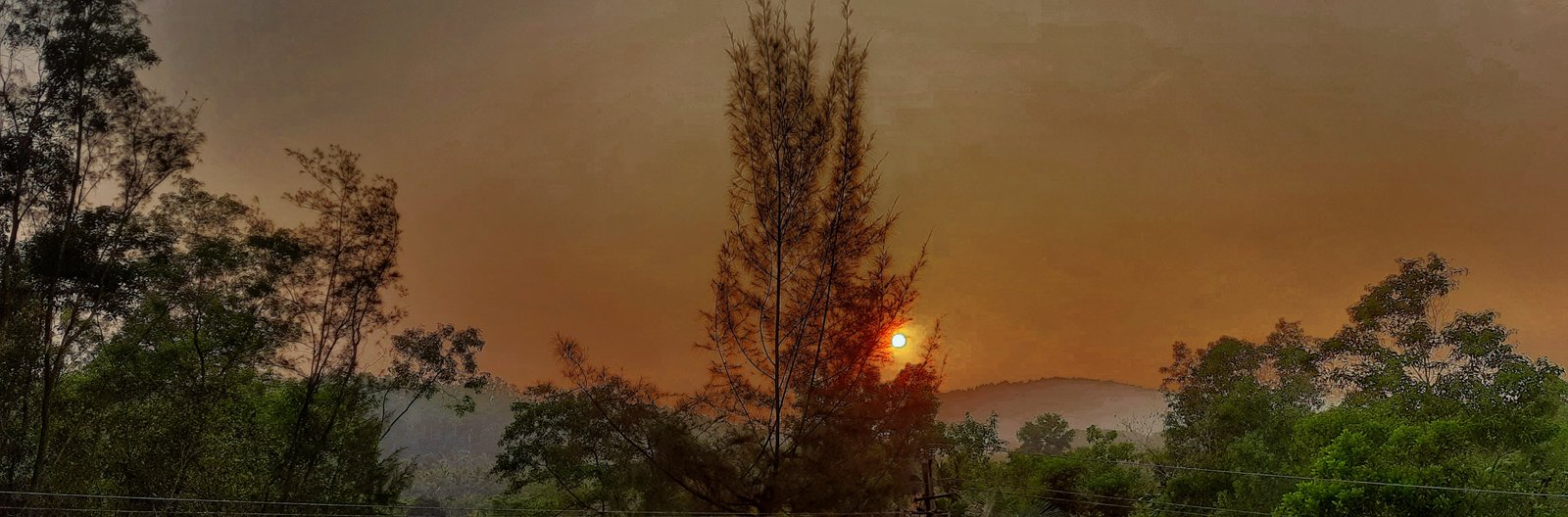 Sunrise image for nature related projects