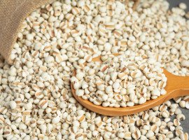 Barley: A Versatile Grain with Many Uses