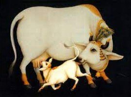 ಗೋವಿಗೆ ಆರತಿ - Govige Aarati