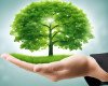 Green marketing strategy for business