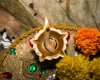 Narak Chaturdashi, Puja Method and History..!