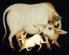 ಗೋವಿಗೆ ಆರತಿ - Govige Aarati