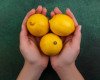 Uses of lemon