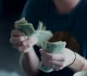 4 business ideas with very little cost that make you rich
